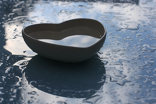 7752006770_b17df5da4b